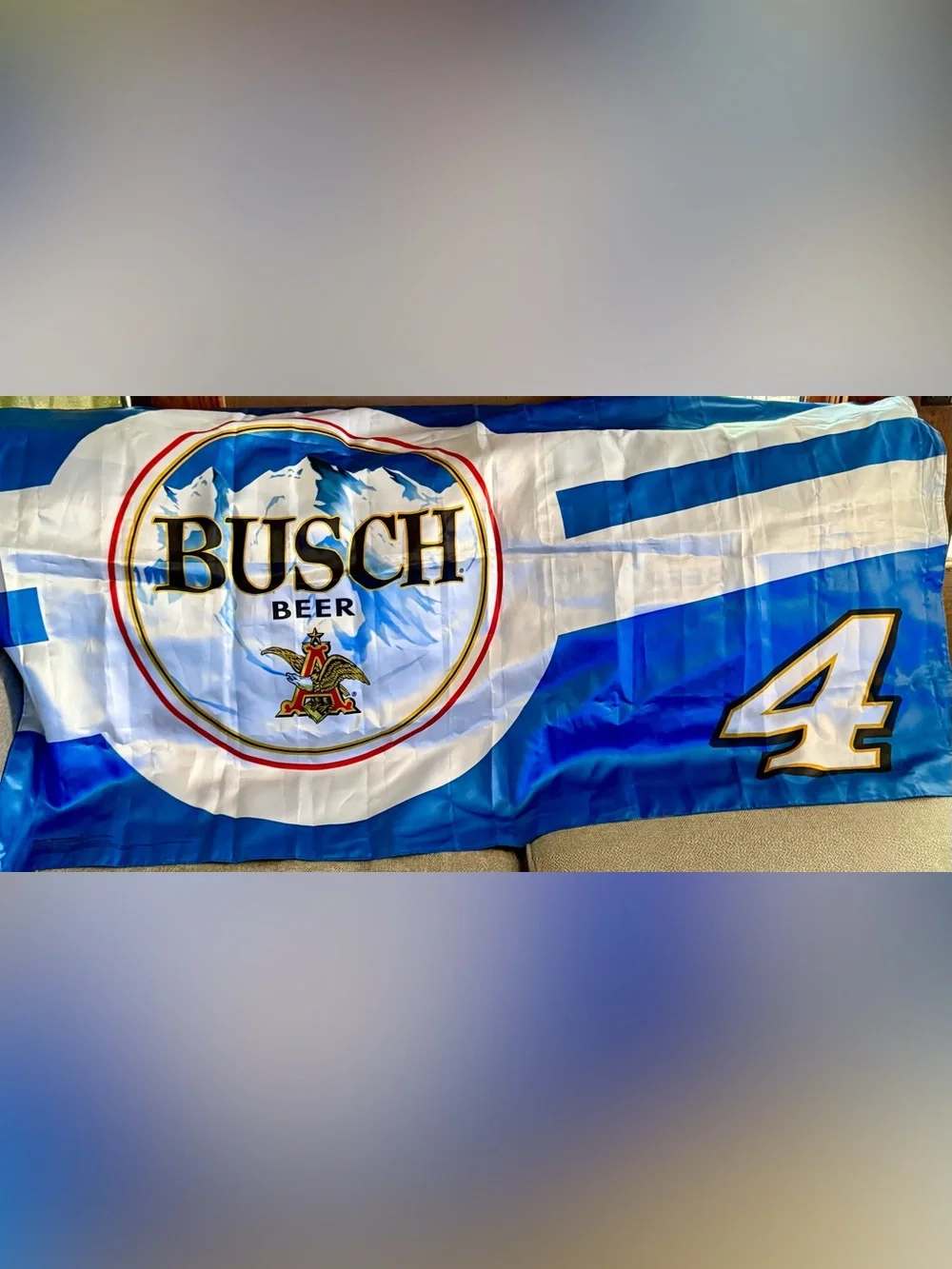 Busch Blue and White Decorative Wall Tapestry